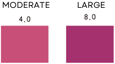 Test Results Moderate