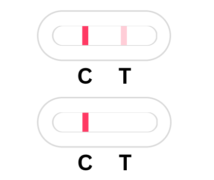 Test Results Negative