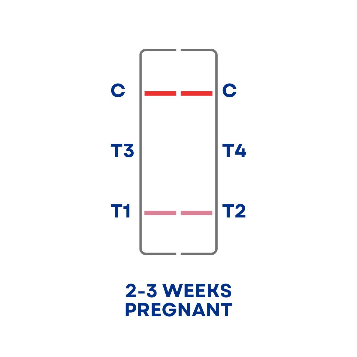 Test Result Positive