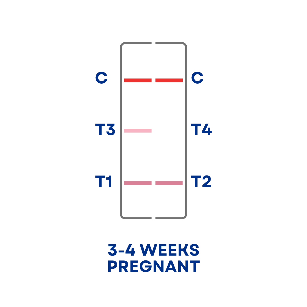 Test Result Positive