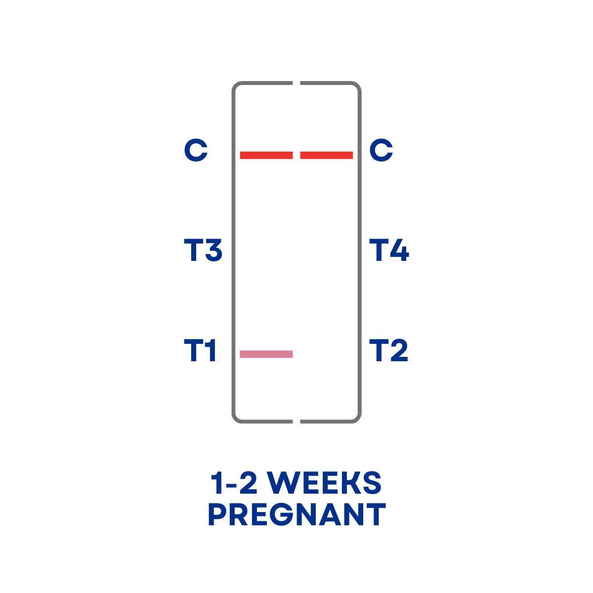 Test Result Positive