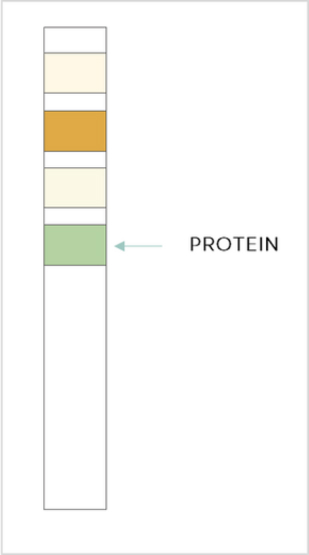 Test Result Positive Protein