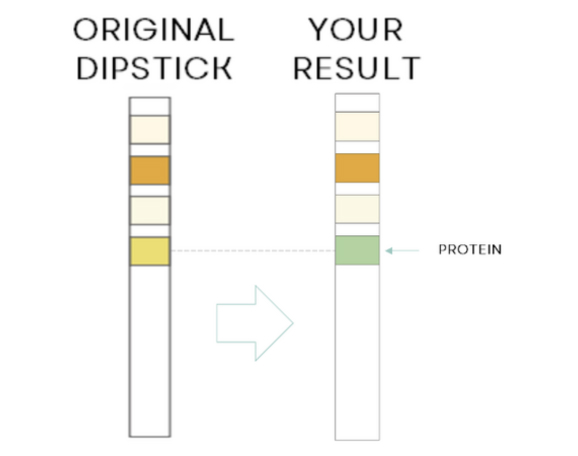 Test Results Positive Protein