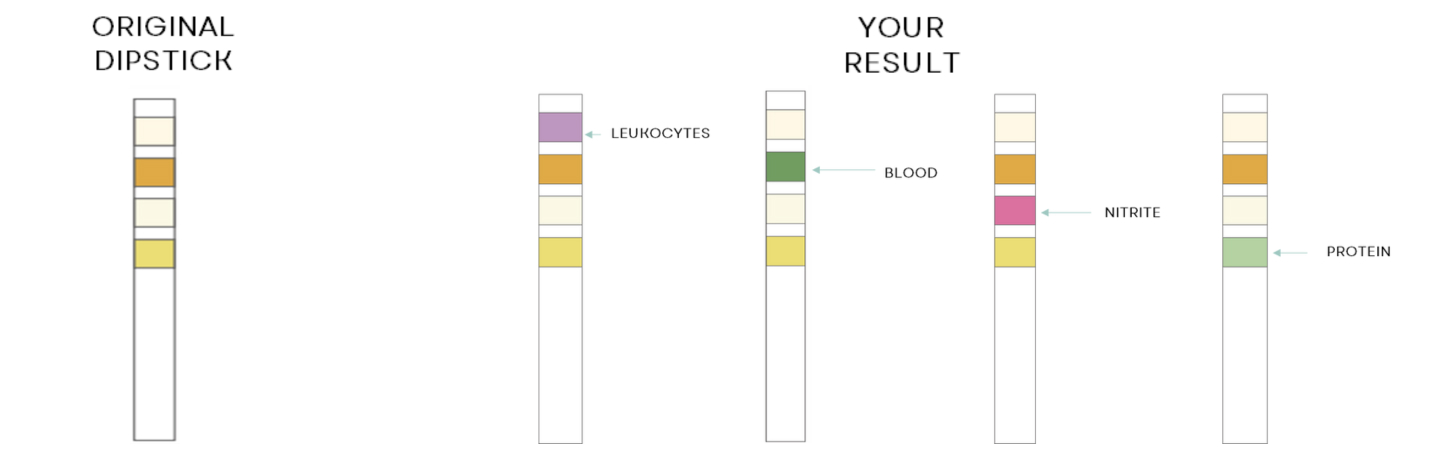 Uti Test Reult Positive