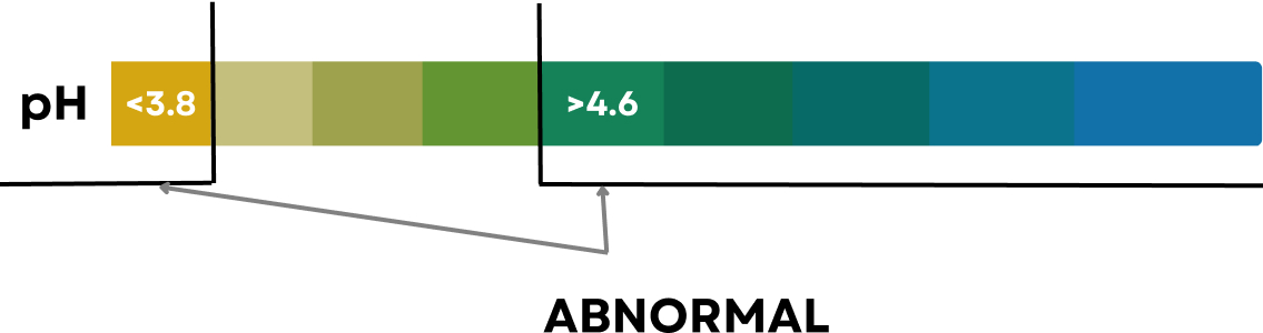 Test Results Abnormal